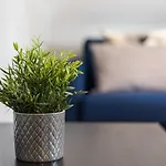 Guestready - Miragaia Rooftop * 波尔图